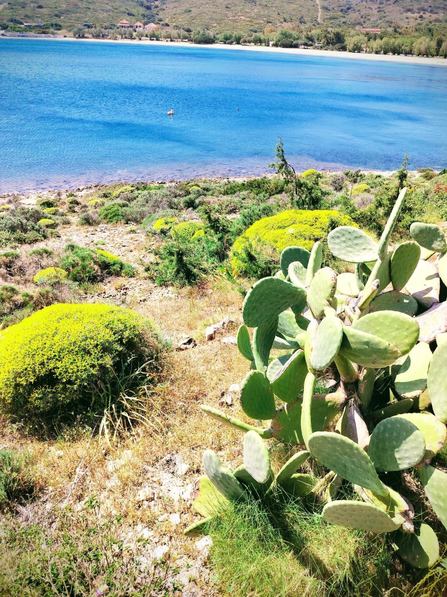 Cap Sounion Seafront Apartments -Adults Only Luaran gambar