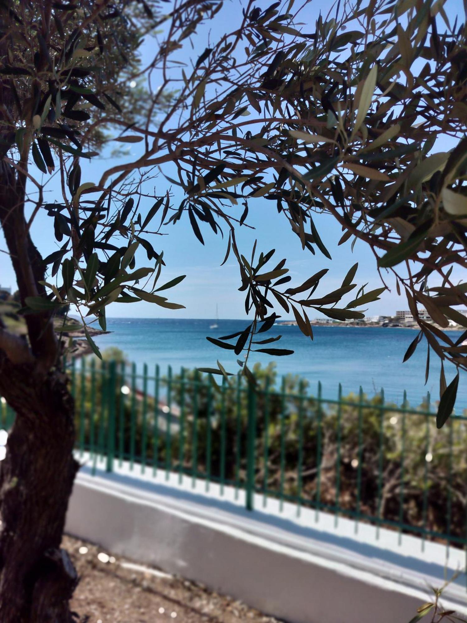 Cap Sounion Seafront Apartments -Adults Only Luaran gambar