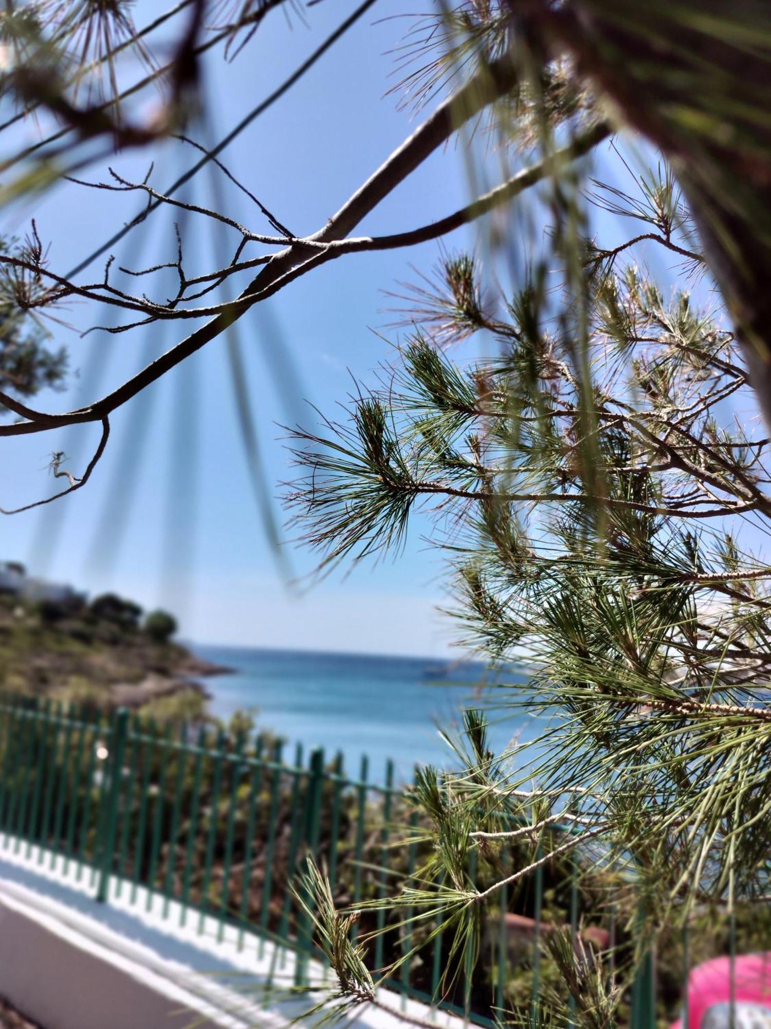 Cap Sounion Seafront Apartments -Adults Only Luaran gambar